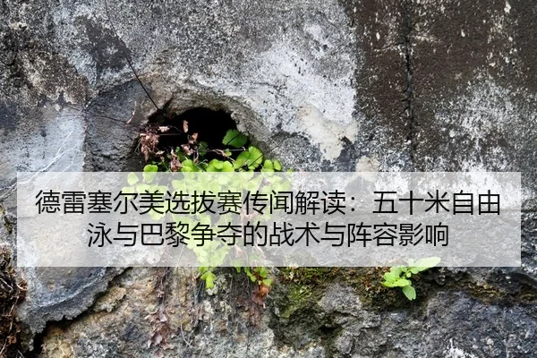 de-lei-sai-er-mei-xuan-ba-sai-chuan-wen-jie-du-wu-shi-mi-zi-you-yong-yu-ba-li-zheng-duo-de-zhan-shu-yu-zhen-rong-ying-2-222.jpg