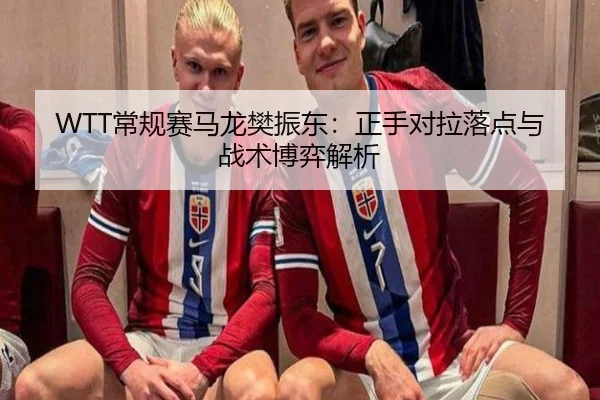 WTT常规赛马龙樊振东：正手对拉落点与战术博弈解析
