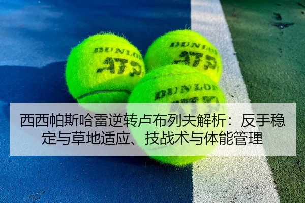 西西帕斯哈雷逆转卢布列夫解析：反手稳定与草地适应、技战术与体能管理