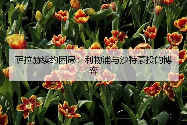 sa-la-he-xu-yue-kun-ju-li-wu-pu-yu-sha-te-hao-tou-de-bo-yi-3-154.jpg