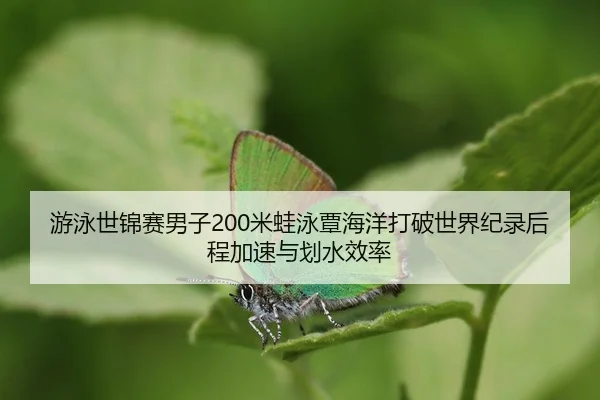 you-yong-shi-jin-sai-nan-zi-mi-wa-yong-tan-hai-yang-da-po-shi-jie-ji-lu-hou-cheng-jia-su-yu-hua-shui-xiao-lv-3-112.jpg